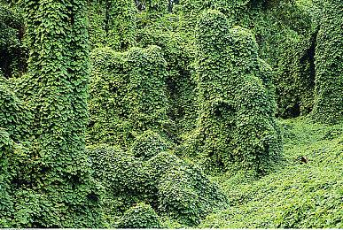 奇幻游戏《布兰博：山丘之王》新预告 探索黑暗世界