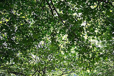 索尼可能收购了英国游戏开发商Ballistic Moon