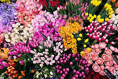 Steam潜行游戏节7月25日开启 提供游戏折扣和试玩